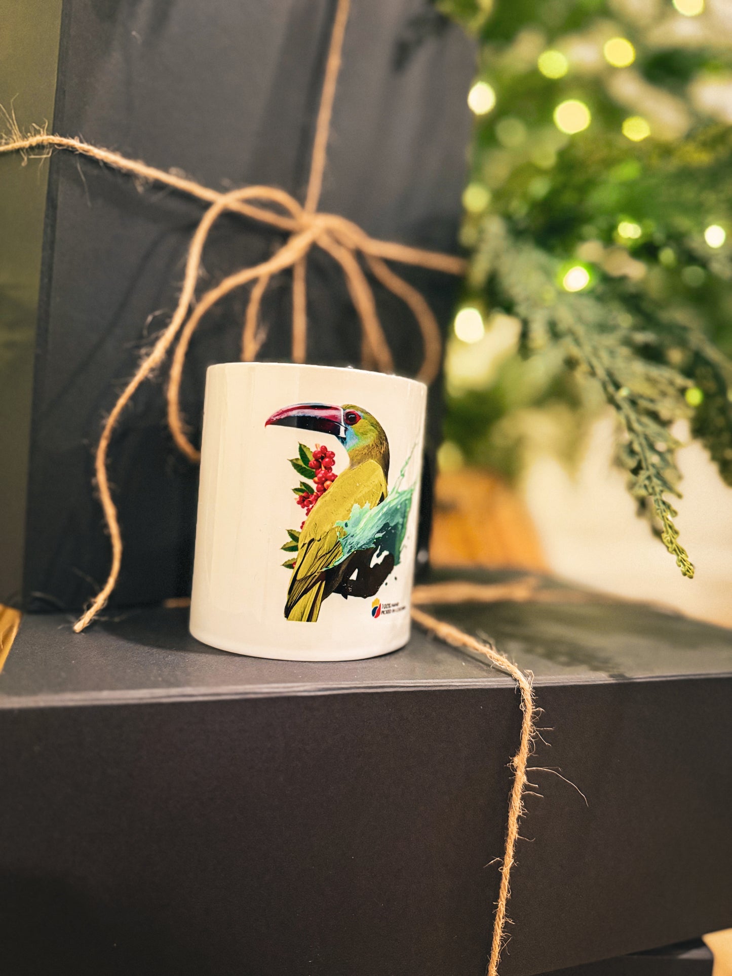 Christmas Gift Box Set