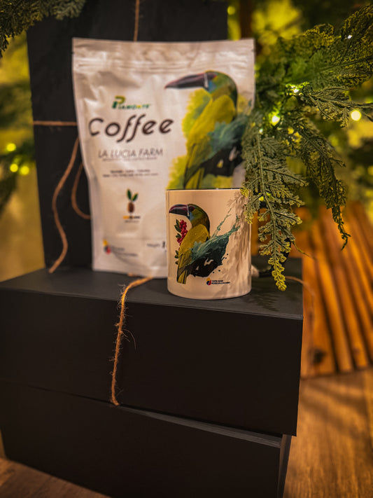 Christmas Gift Box Set