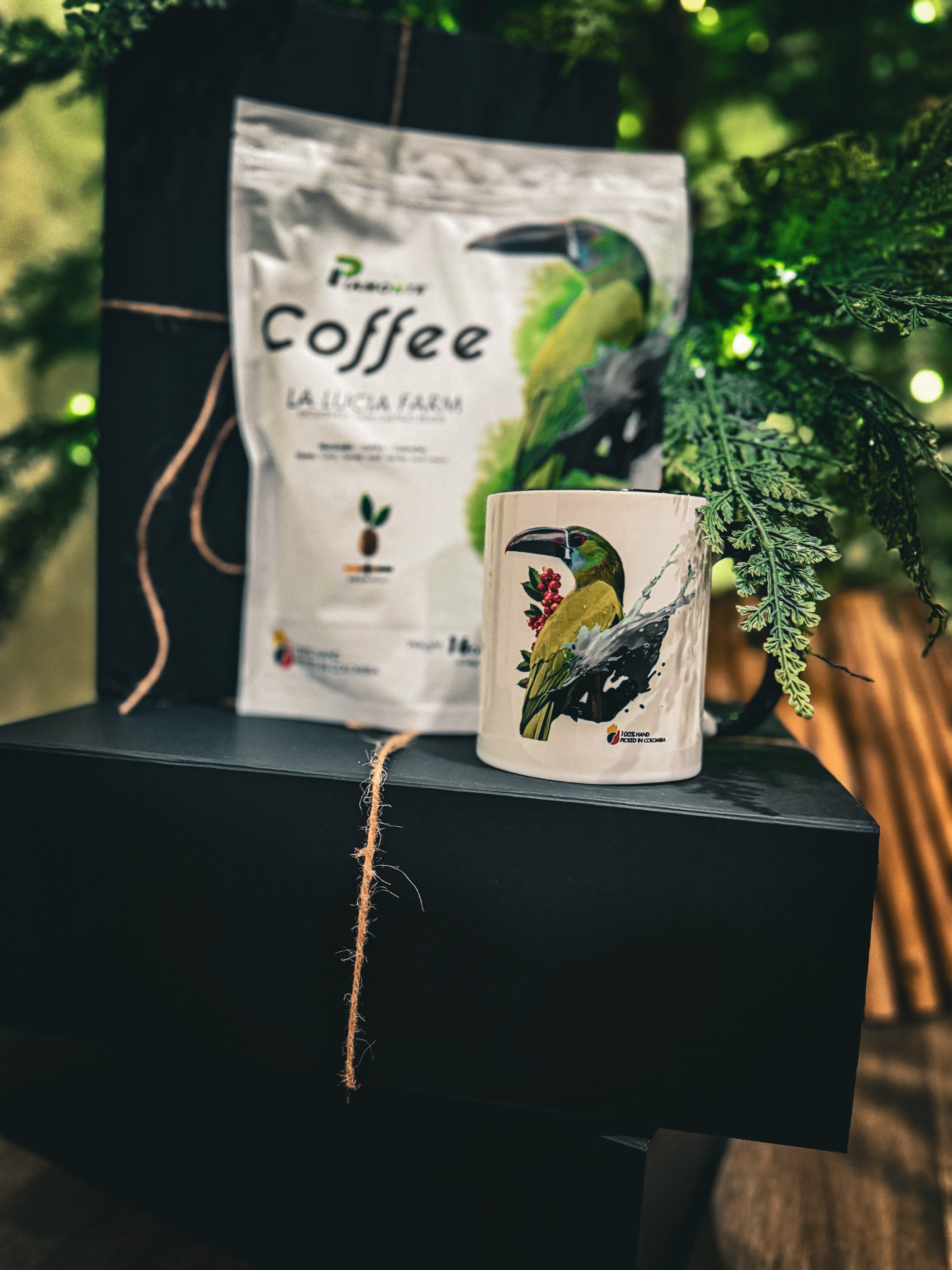 Christmas Gift Box Set – Piamonte Coffee